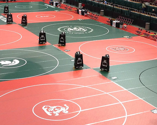 Wrestling Championship